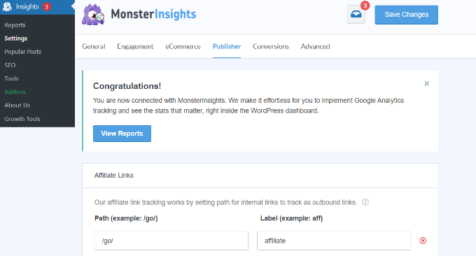 MonsterInsights 中的发布者设置